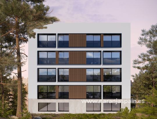 Апартаменты - New build - Гвардамар дель Сегура - город