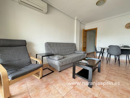 Apartment - Long Term Rentals - Guardamar del Segura - Town Guardamar