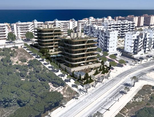 Apartment - New build - Arenales del Sol - Arenales del Sol