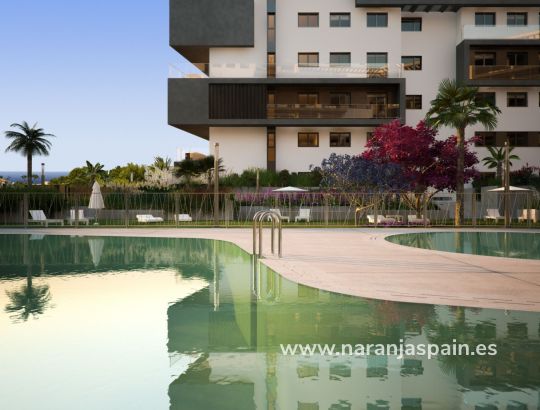 Apartment - New build - Orihuela Coast - Campoamor