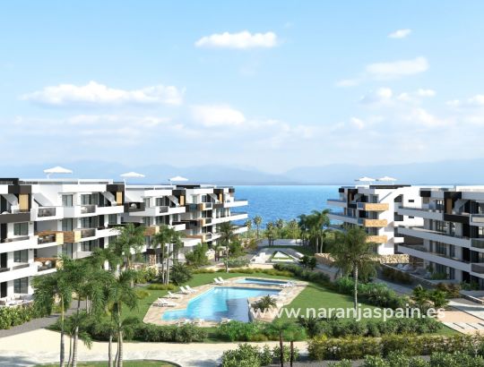 Apartment - New build - Orihuela Coast - Playa Flamenca