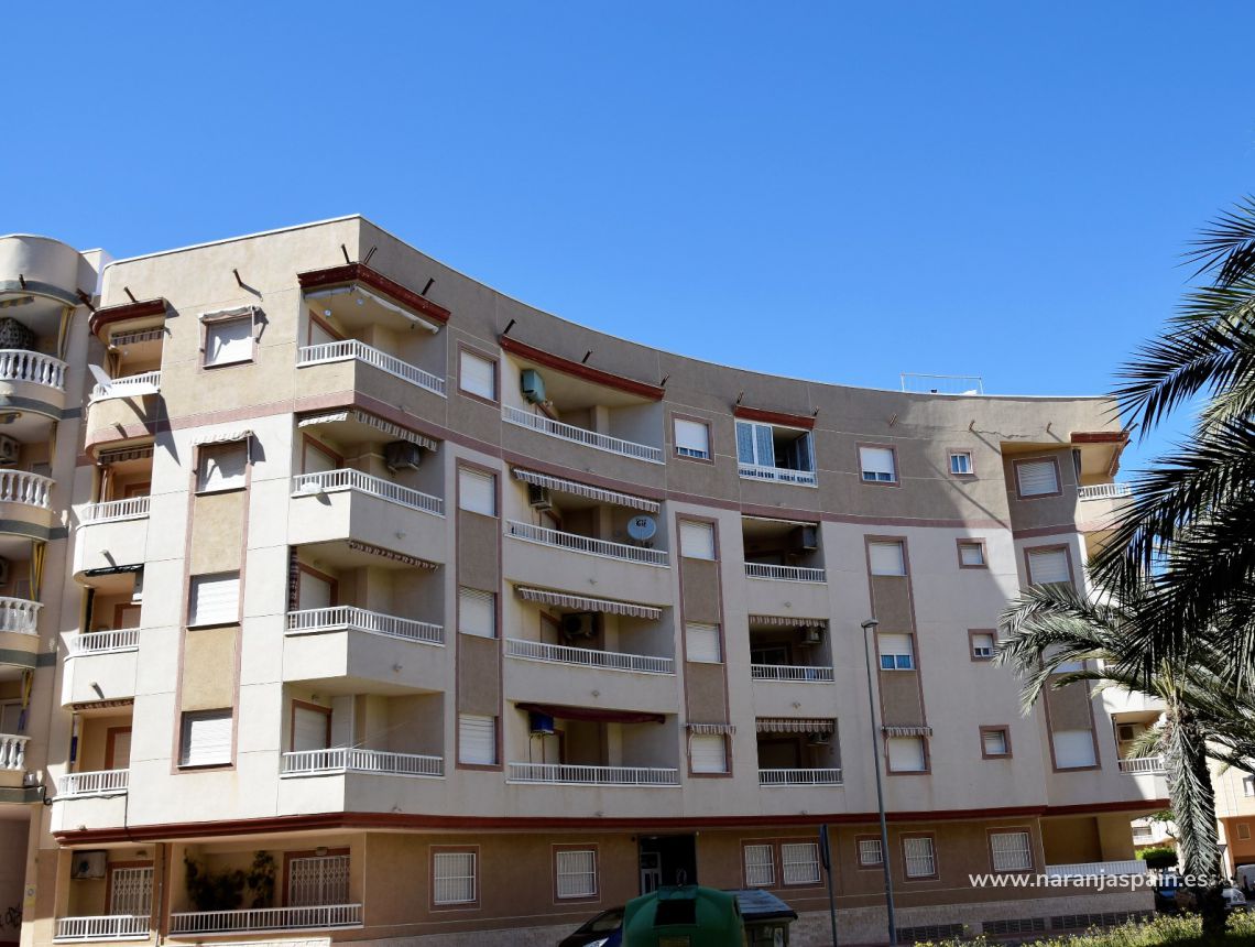 Долгосрочная аренда - Апартаменты - Гвардамар дель Сегура - Южный парк