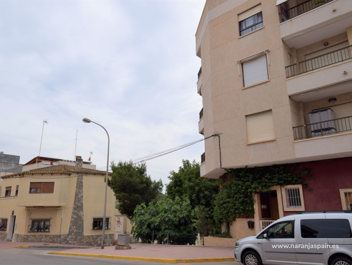Ilgalaike nuoma - Apartamentai - Guardamar del Segura - town Guardamar