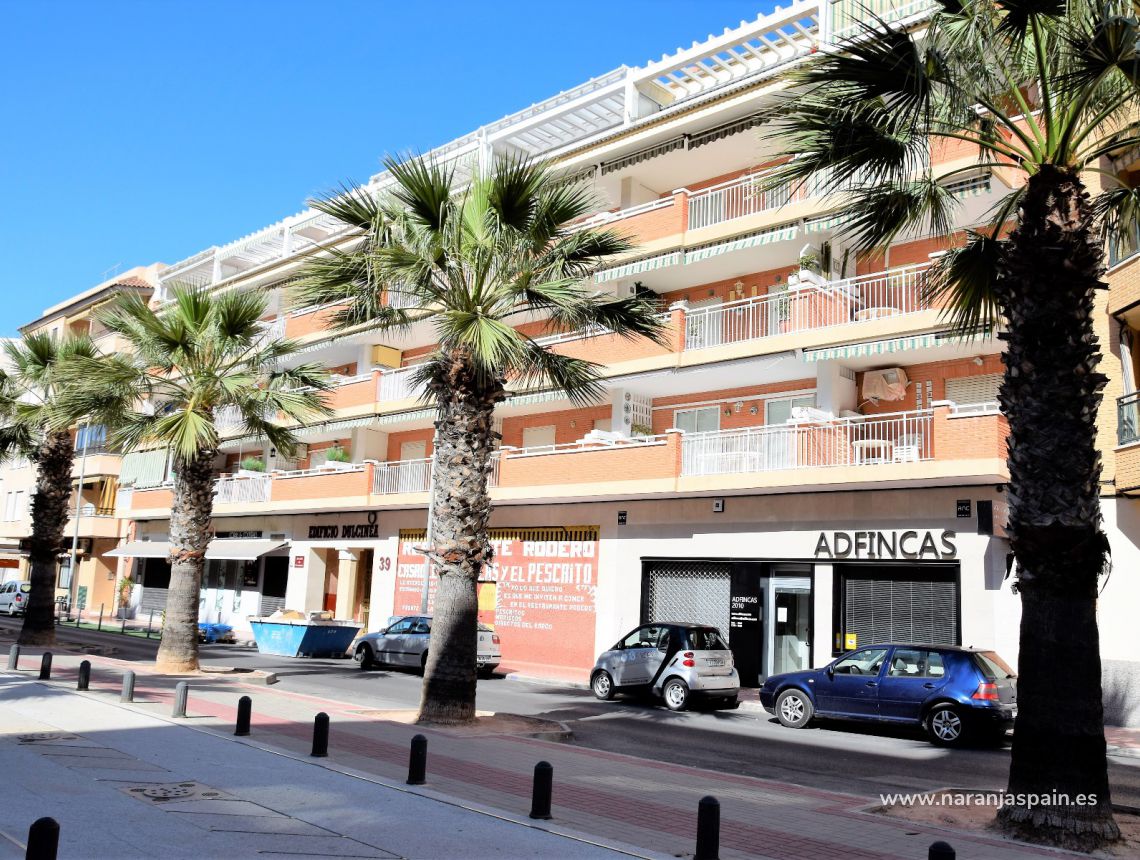 Краткосрочная аренда - Апартаменты - Гвардамар дель Сегура - Пляж Guardamar