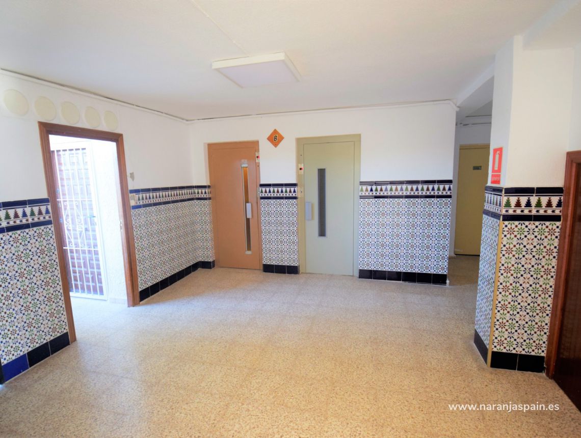 Long Term Rentals - Apartment - Torrevieja - Torrevieja town