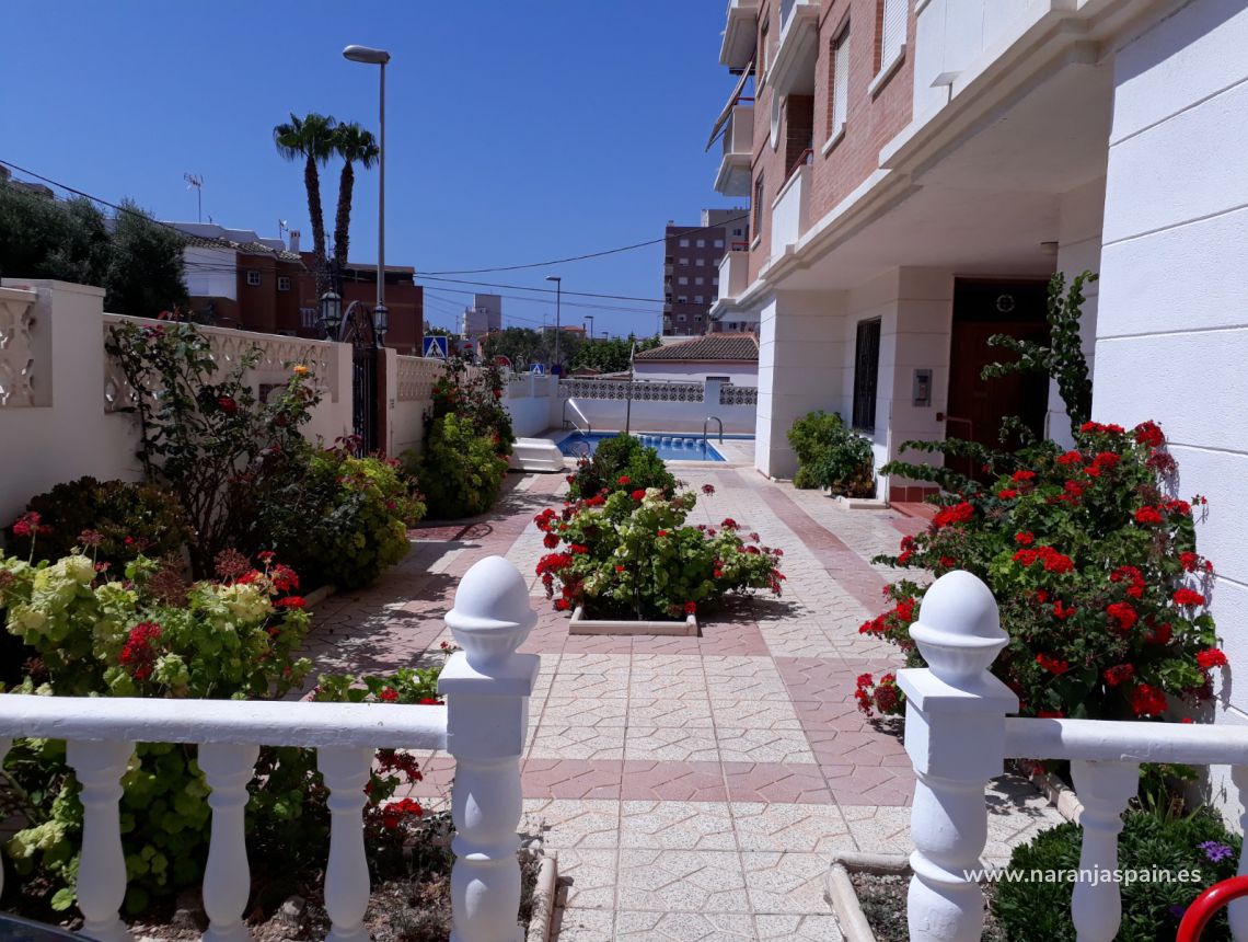 Parduodama - Apartamentai - Torrevieja