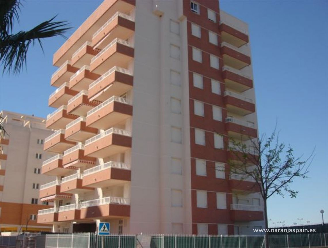 Vacacional - Apartamento - Guardamar del Segura - Pinada