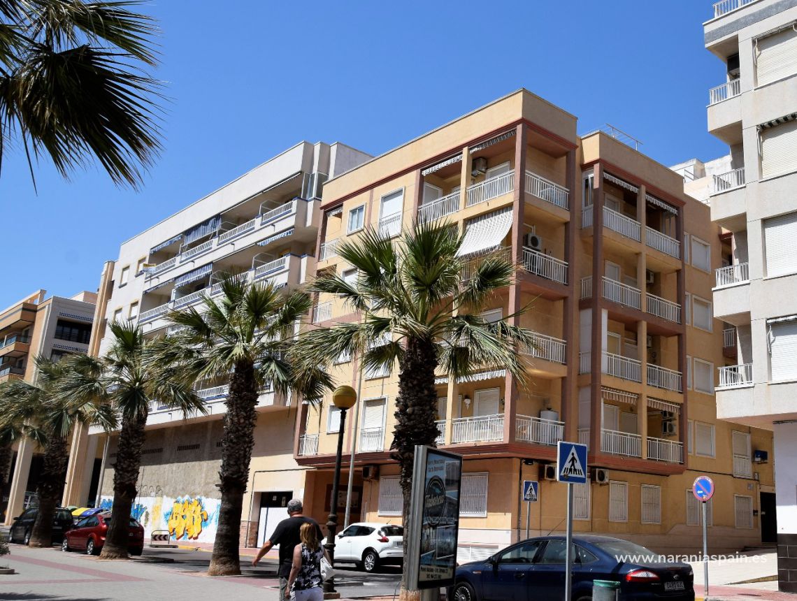 Apartamentai - Ilgalaike nuoma - Guardamar del Segura - Plaza Porticada