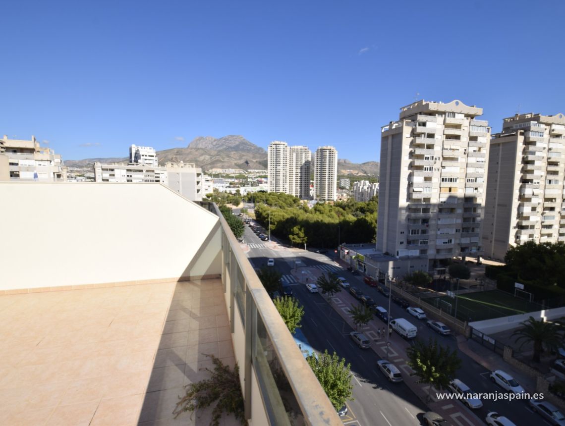 Alquiler larga estancia - Apartamento - Benidorm - Playa Poniente