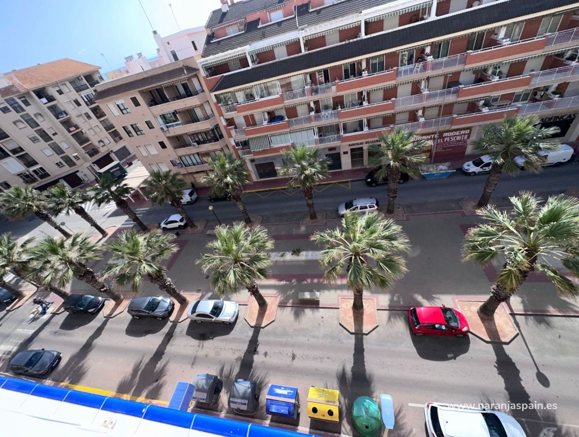 Alquiler larga estancia - Apartamento - Guardamar del Segura - CENTRO