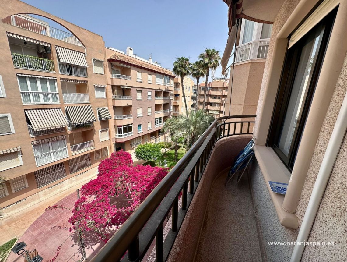 Alquiler larga estancia - Apartamento - Guardamar del Segura - CENTRO