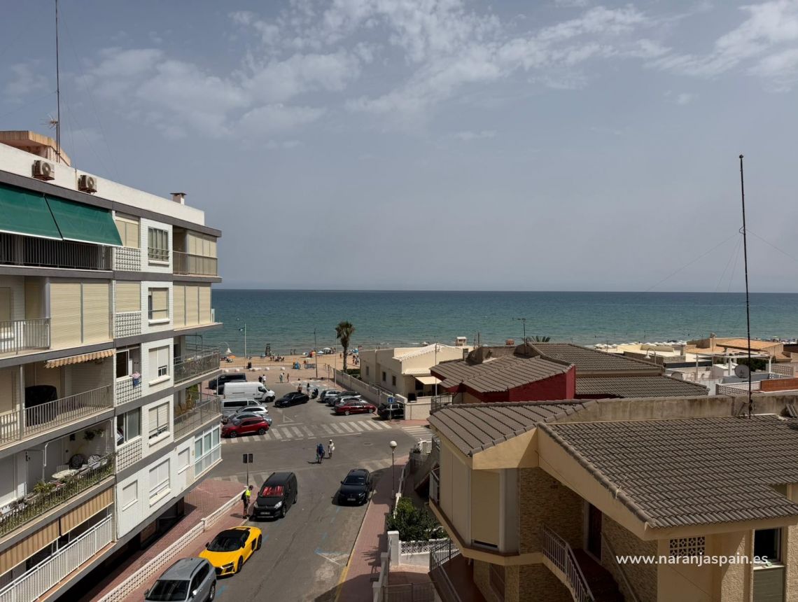 Alquiler larga estancia - Apartamento - Guardamar del Segura - Pueblo