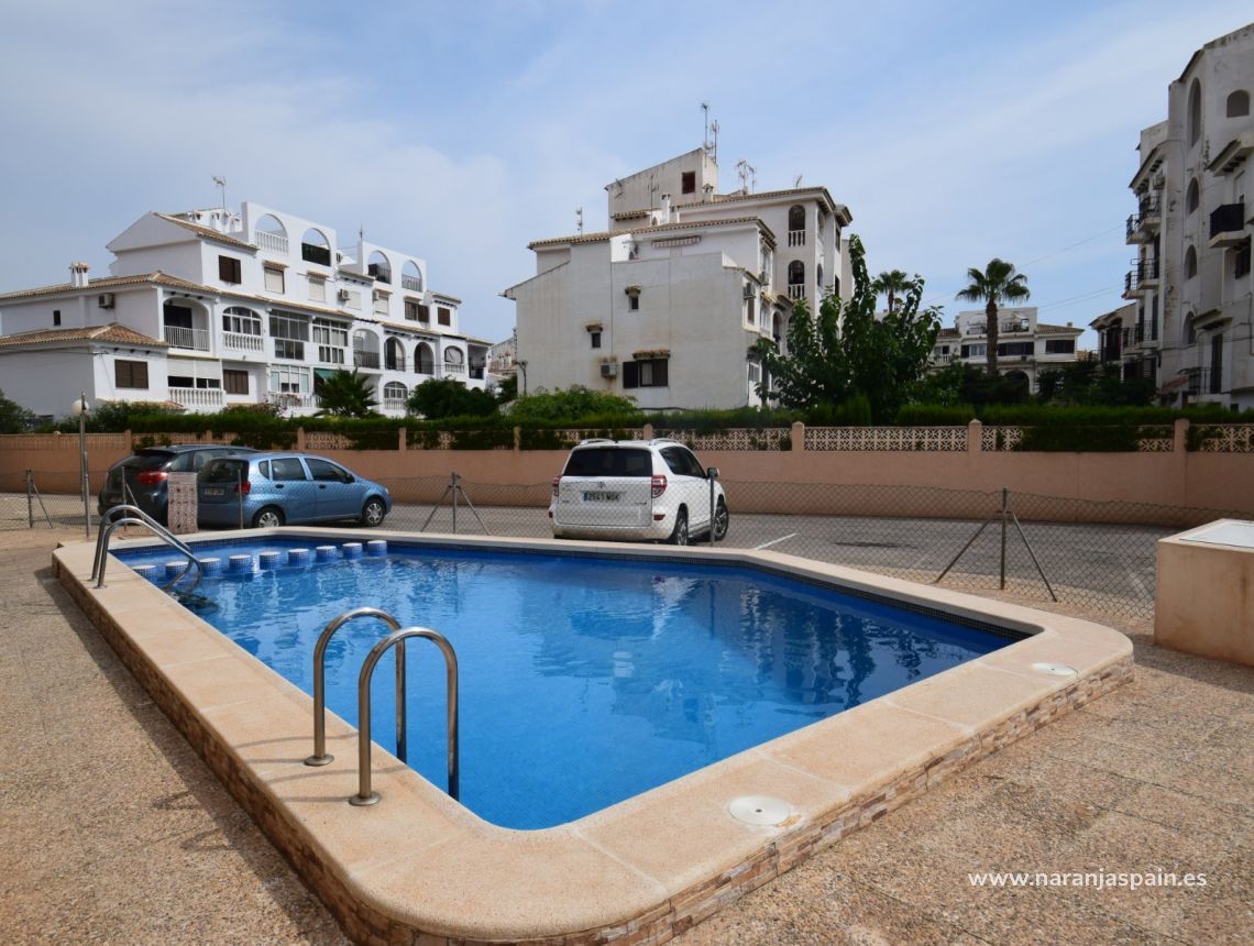 Alquiler larga estancia - Apartamento - Torrevieja - Center