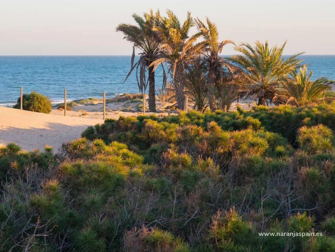  - Apartament - Guardamar del Segura - Avda del Puerto