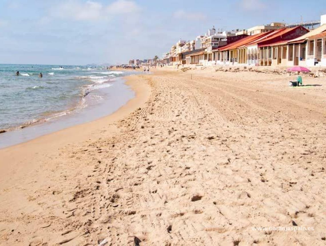  - Apartament - Guardamar del Segura - Pueblo