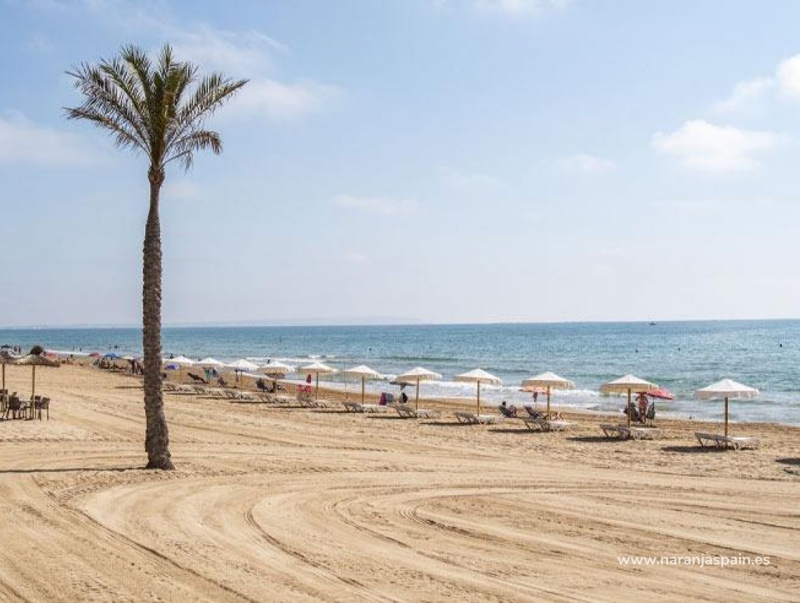  - Apartament - Guardamar del Segura - Pueblo