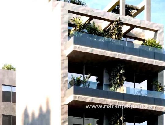 Apartament - Nowa inwestycja - Torrevieja - Centro