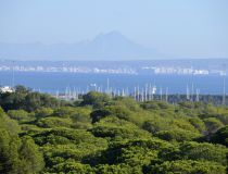 Apartament - Sprzedaż - Guardamar del Segura - A-1173