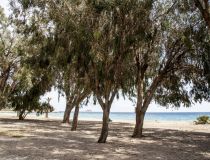  - Apartament - Villajoyosa - Playa Les Torres