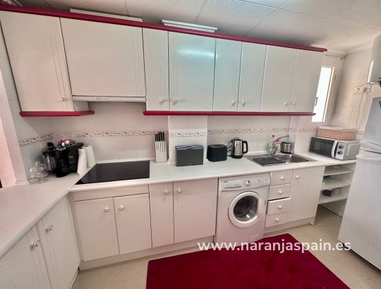 Apartament - Wynajem długoterminowy - Guardamar del Segura - CENTRO