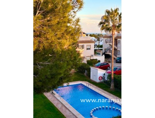 Apartament - Wynajem długoterminowy - Orihuela - Villamartin