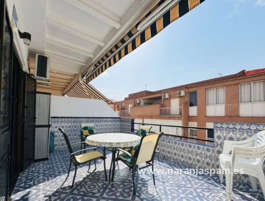 Apartament - Wynajem długoterminowy - Torrevieja - La Mata pueblo