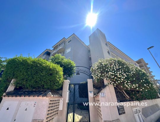 Apartamentai - Ilgalaike nuoma - Guardamar del Segura - Avenida del Puerto