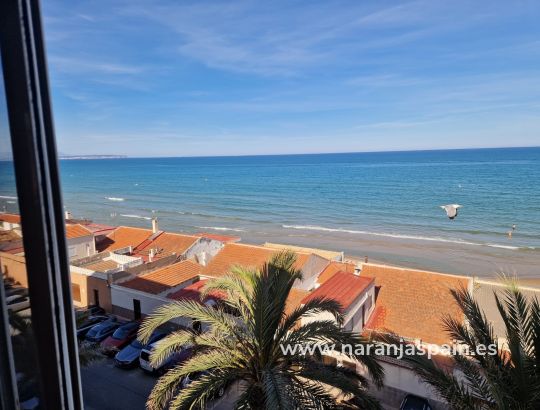 Apartamentai - Ilgalaike nuoma - Guardamar del Segura - CENTRO