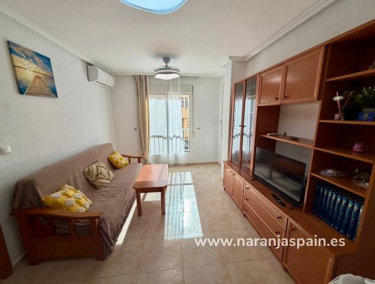 Apartamentai - Ilgalaike nuoma - Guardamar del Segura - Guardamar