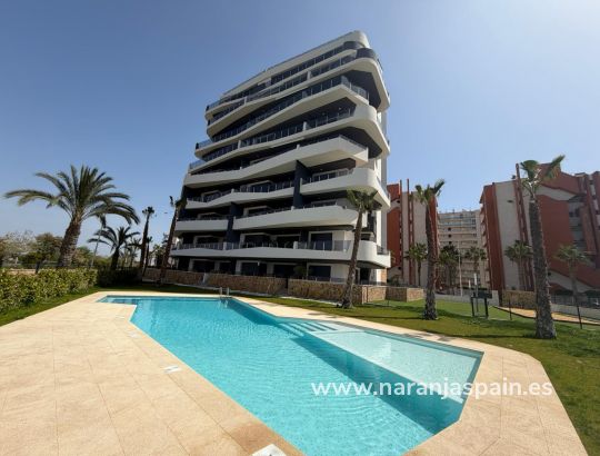 Apartamentai - Ilgalaike nuoma - Guardamar del Segura - Puerto