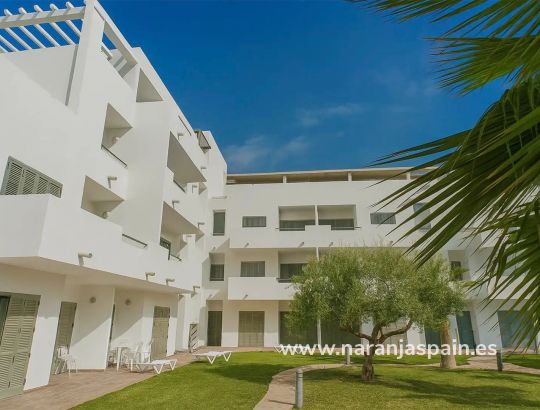 Apartamentai - Nauja statyba - Vera - Vera Playa