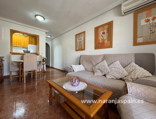Apartamentai - Parduodama - Guardamar del Segura - Guardamar del Segura