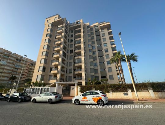 Apartamentai - Parduodama - Guardamar del Segura - Puerto Deportivo