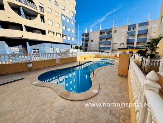Apartamentai - Parduodama - La Mata, Torrevieja - Torrevista Playa