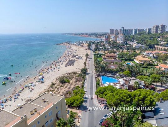 Apartamentai - Parduodama - Orihuela Coast - Campoamor