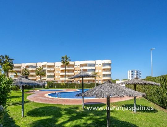 Apartamentai - Parduodama - Orihuela Costa - Campoamor