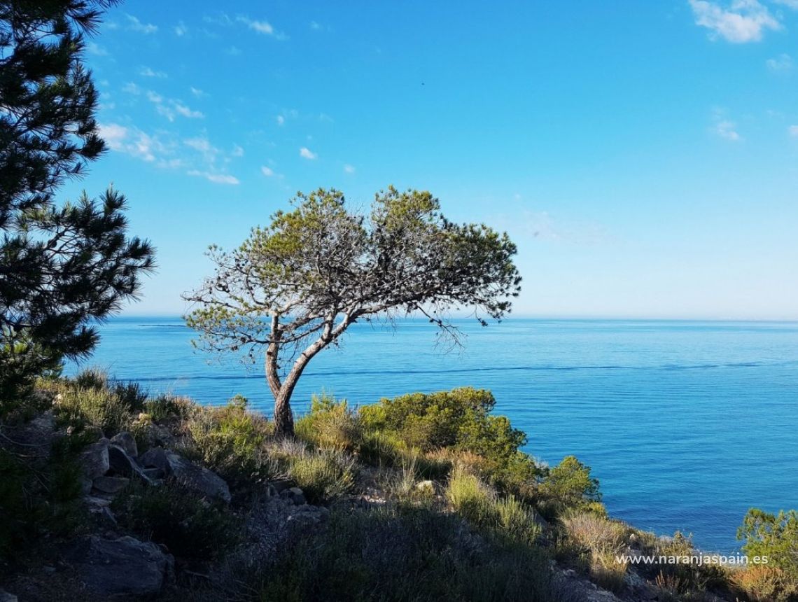  - Apartamentai - Villajoyosa - Playa Les Torres