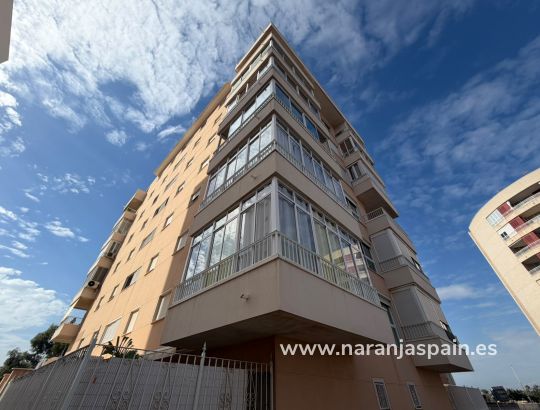 Apartamento - Alquiler larga estancia - Guardamar del Segura - Avenida del Puerto