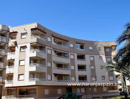 Apartamento - Alquiler larga estancia - Guardamar del Segura - Parque Sur 