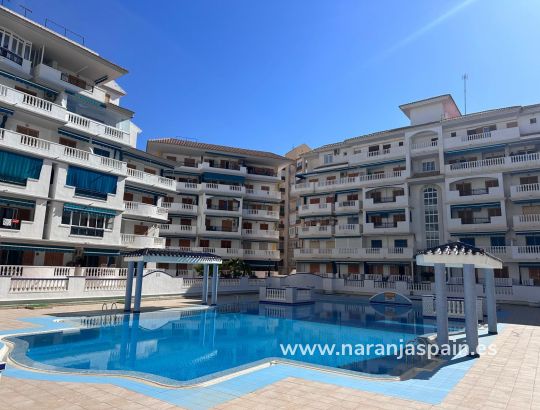 Apartamento - Alquiler larga estancia - La Mata, Torrevieja - Viñamar II