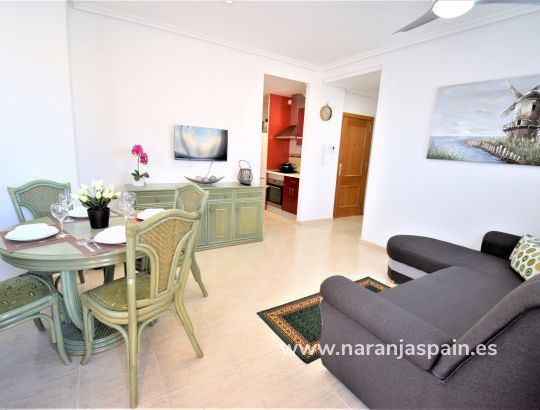 Apartamento - Alquiler larga estancia - Torrevieja - Torrevieja pueblo