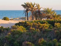  - Apartamento - Guardamar del Segura - Avda del Puerto