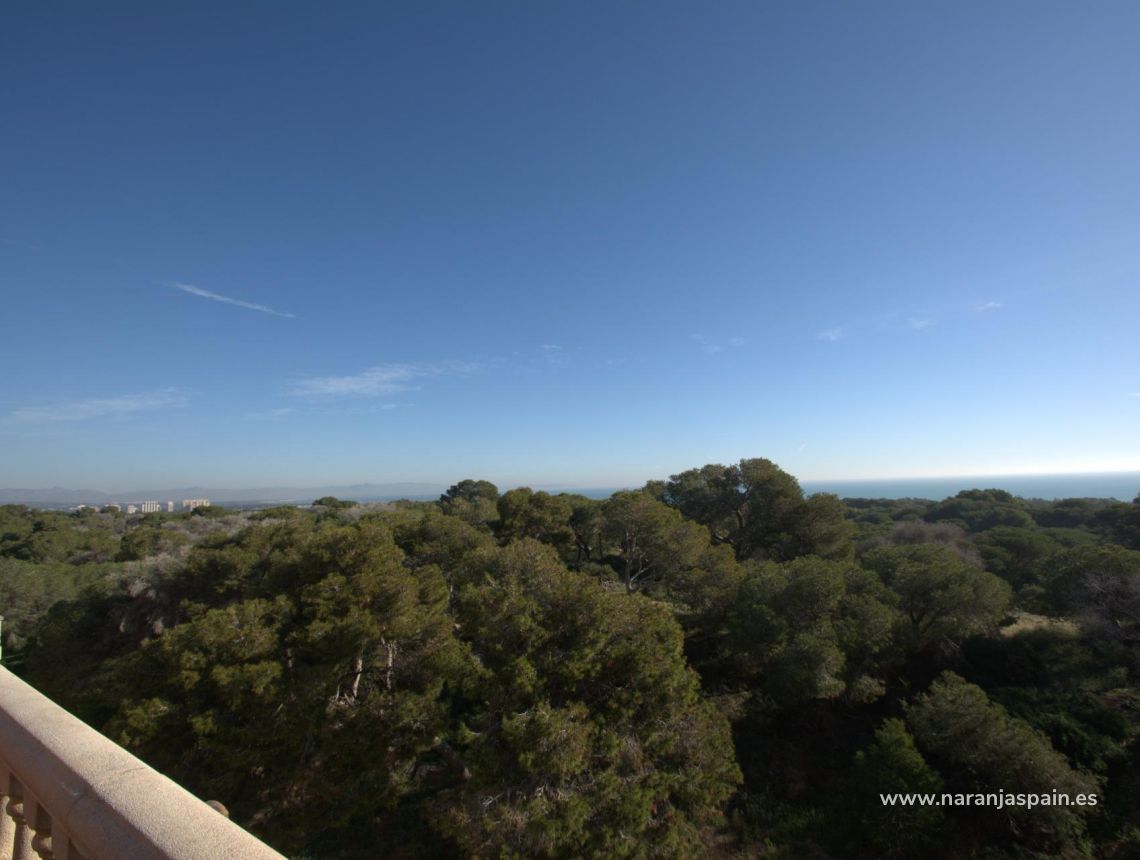  - Apartamento - Guardamar del Segura - Pueblo