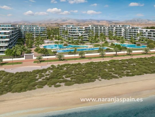 Apartamento - Obra Nueva - Almerimar - 1ª Linea De Playa
