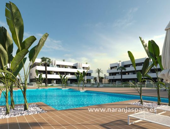 Apartamento - Obra Nueva - Guardamar del Segura - El Raso