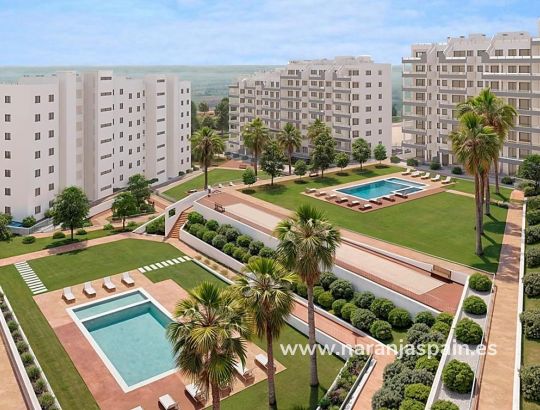 Apartamento -  - San Miguel de Salinas - Pueblo