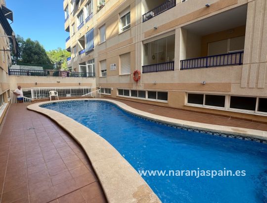 Apartamento - Segunda Mano - Guardamar del Segura - Parque Sur 