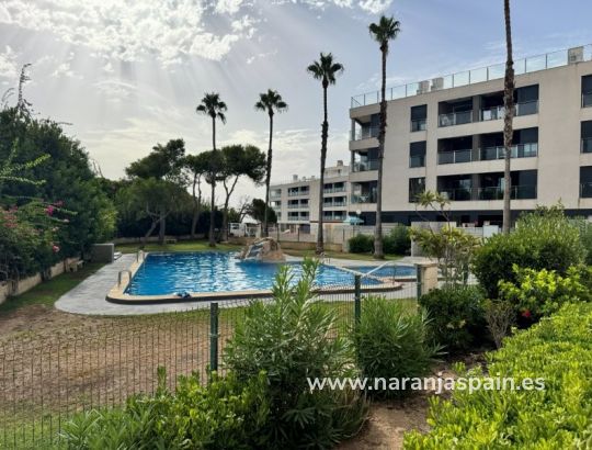 Apartamento - Segunda Mano - La Mata, Torrevieja - Pinada Beach II