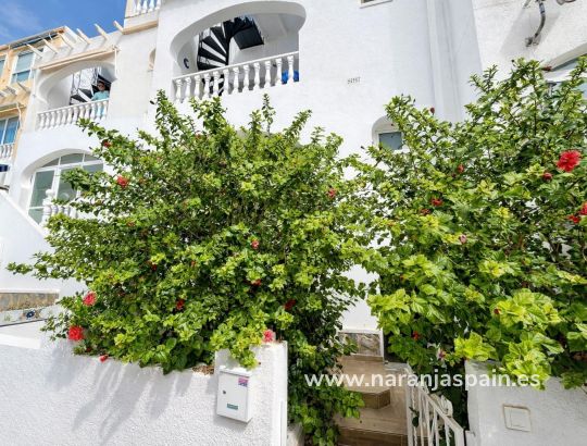 Apartamento - Segunda Mano - San Miguel de Salinas - Las filipinas