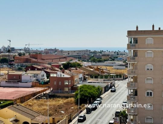 Apartamento - Segunda Mano - Torrevieja - Aguas nuevas 1